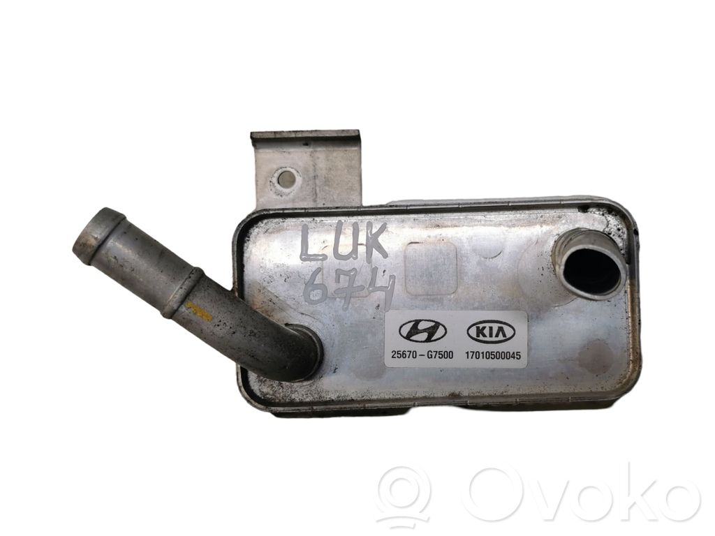 Hyundai Ioniq A/C cooling radiator (condenser) 