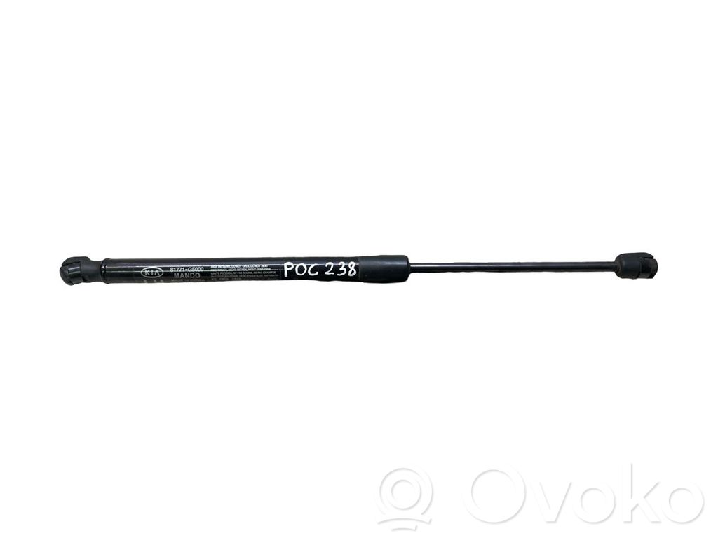 KIA Niro Tailgate/trunk strut/damper 