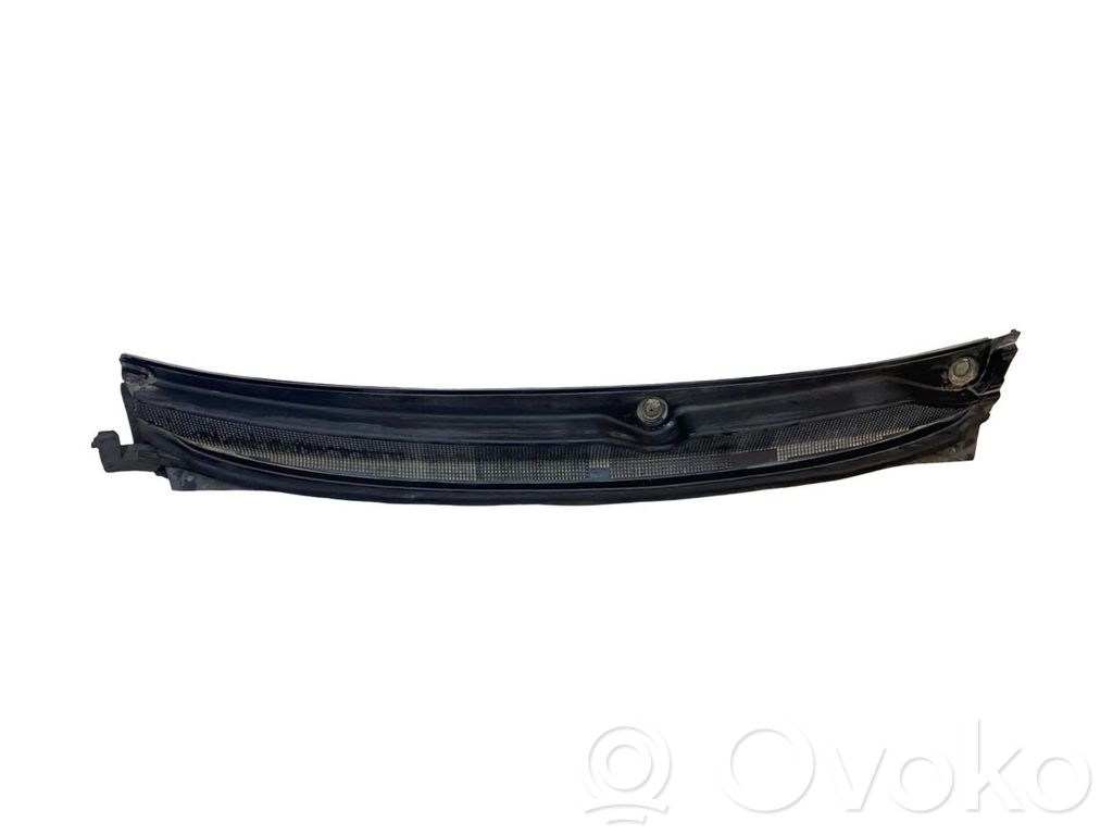 Chrysler Pacifica Moldura del limpia 
