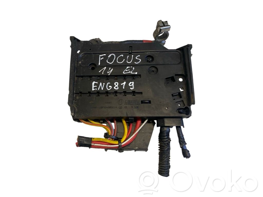 Ford Focus Positive wiring loom 