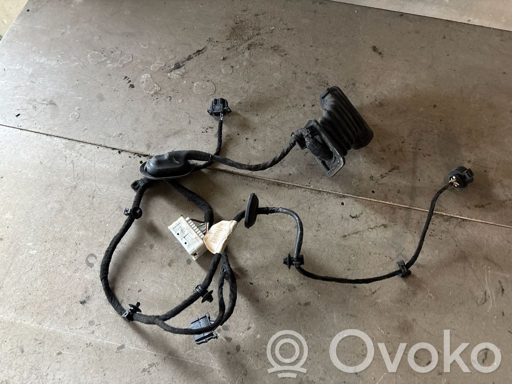 Volkswagen PASSAT B6 Cablaj ușă spate 