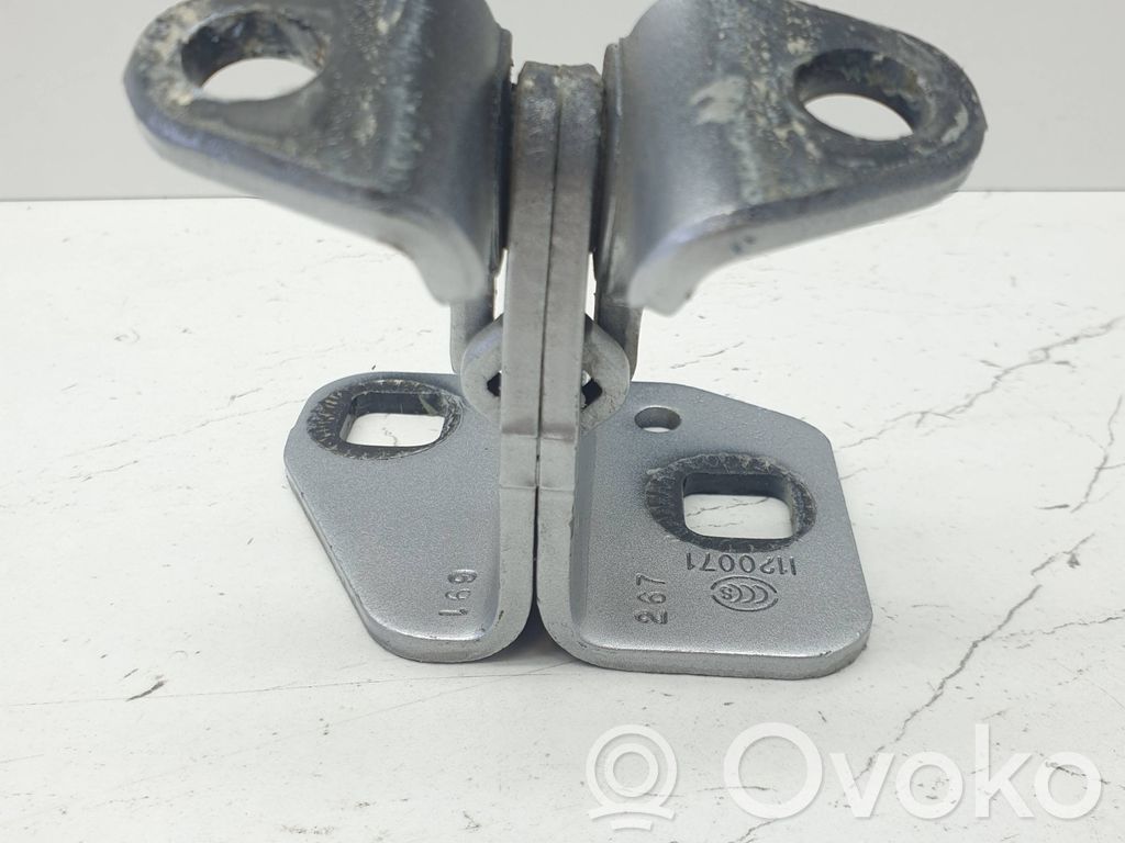 Tesla Model S Rear door lower hinge 