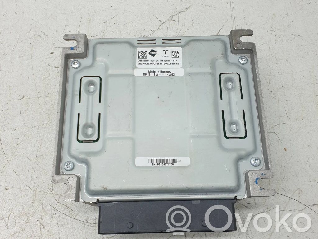 Tesla Model S Sound amplifier 