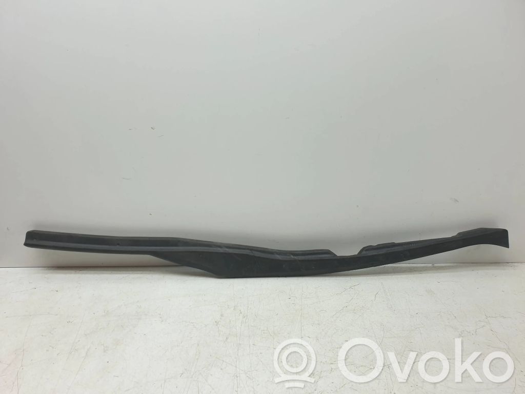 Chrysler Pacifica Guma sandarinimo (ant slankiojančių durų) 