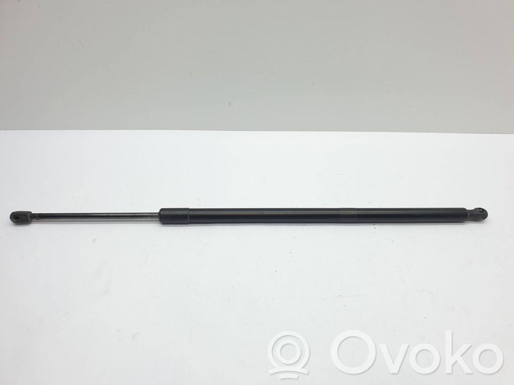 Chrysler Pacifica Tailgate/trunk strut/damper 