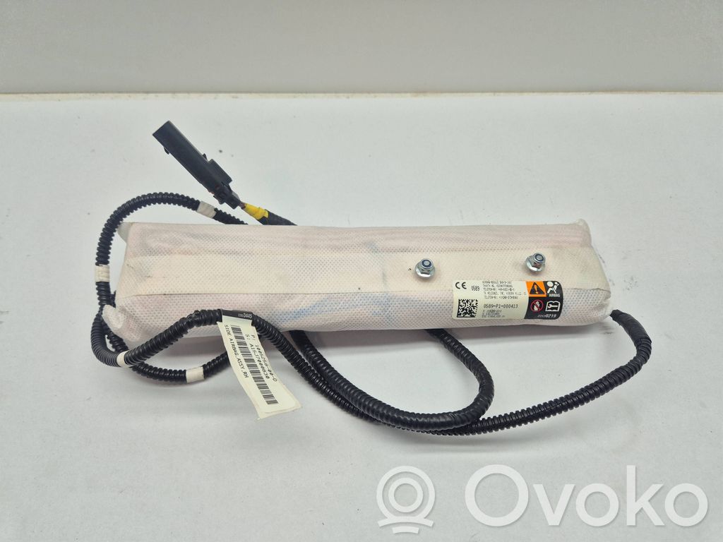 Airbag del asiento   10052800D,12483738040,A15J7000830,0589P1000413