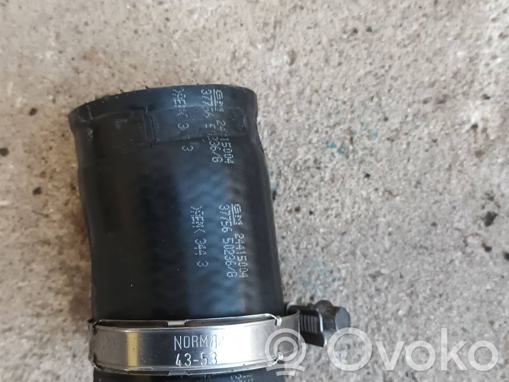 Opel Signum Interkūlera šļūtene (-es) / caurule (-es) 