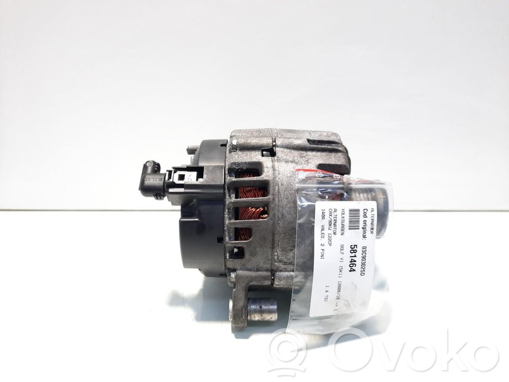 Volkswagen Golf V Lichtmaschine