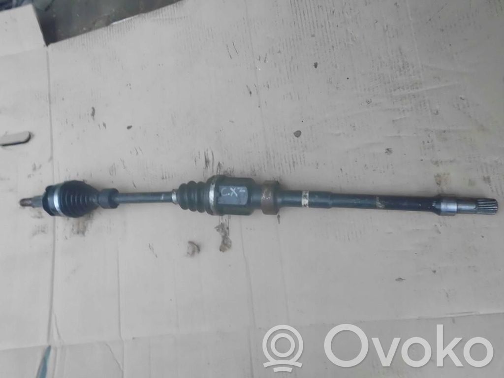 Headlight/headlamp   65454654