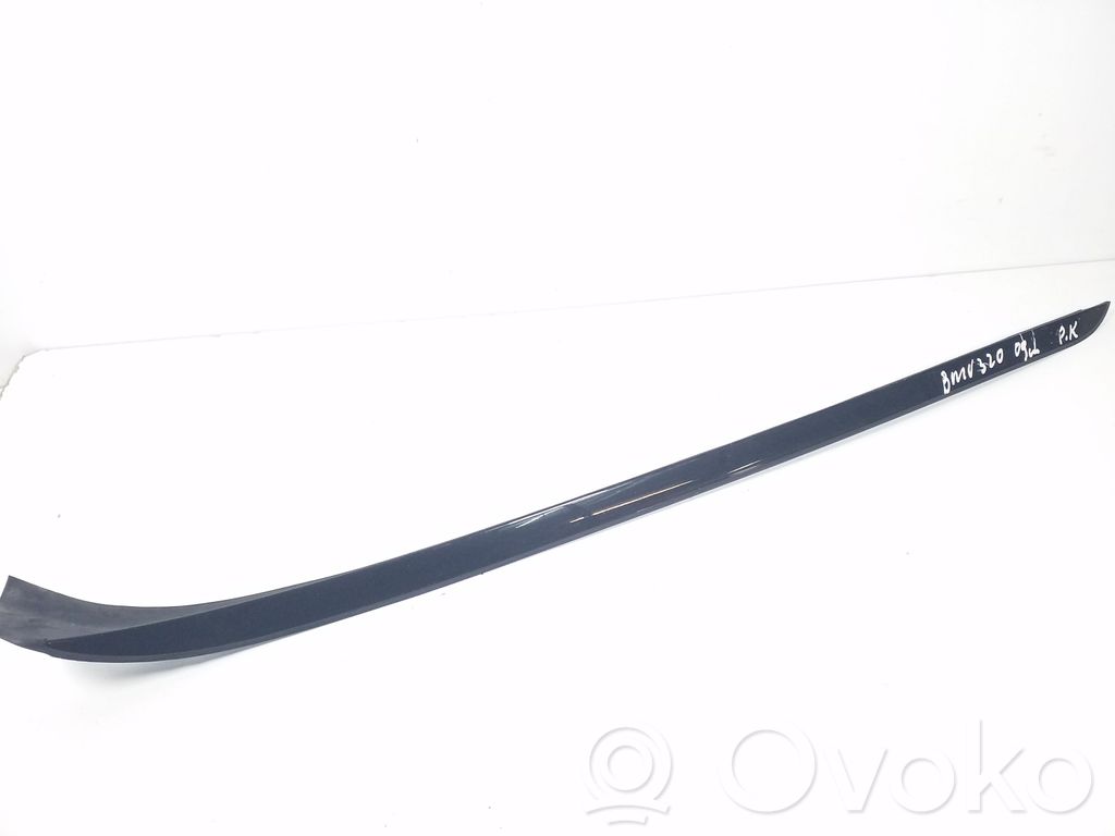 Windshield trim   7179263