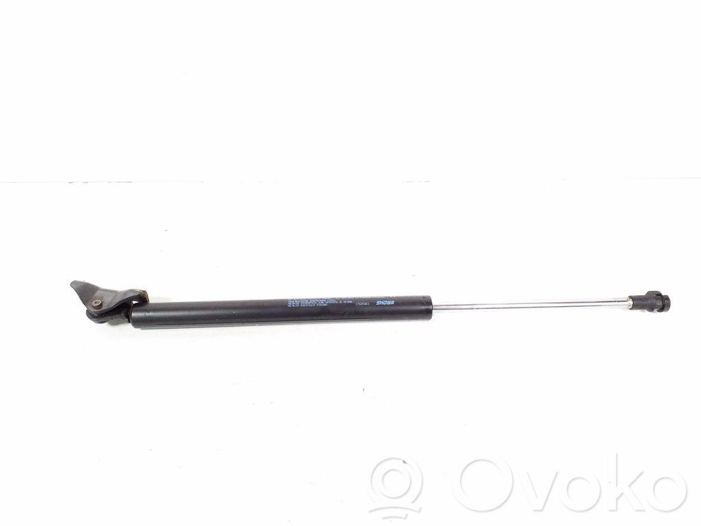 Tailgate/trunk strut/damper   5802A666