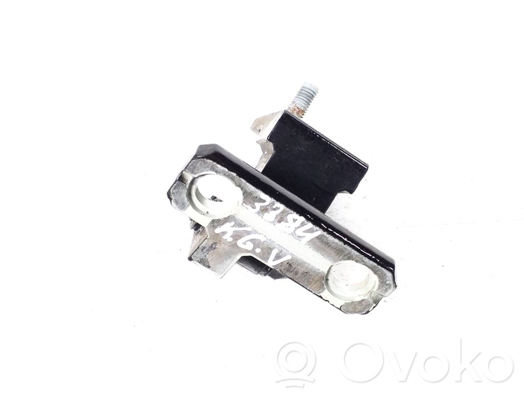 Volkswagen Phaeton Rear door upper hinge 
