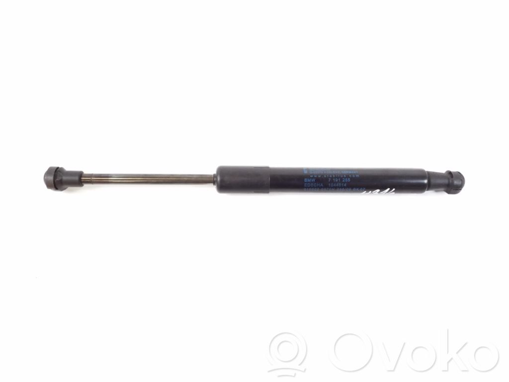 BMW Z4 E89 Tailgate strut 