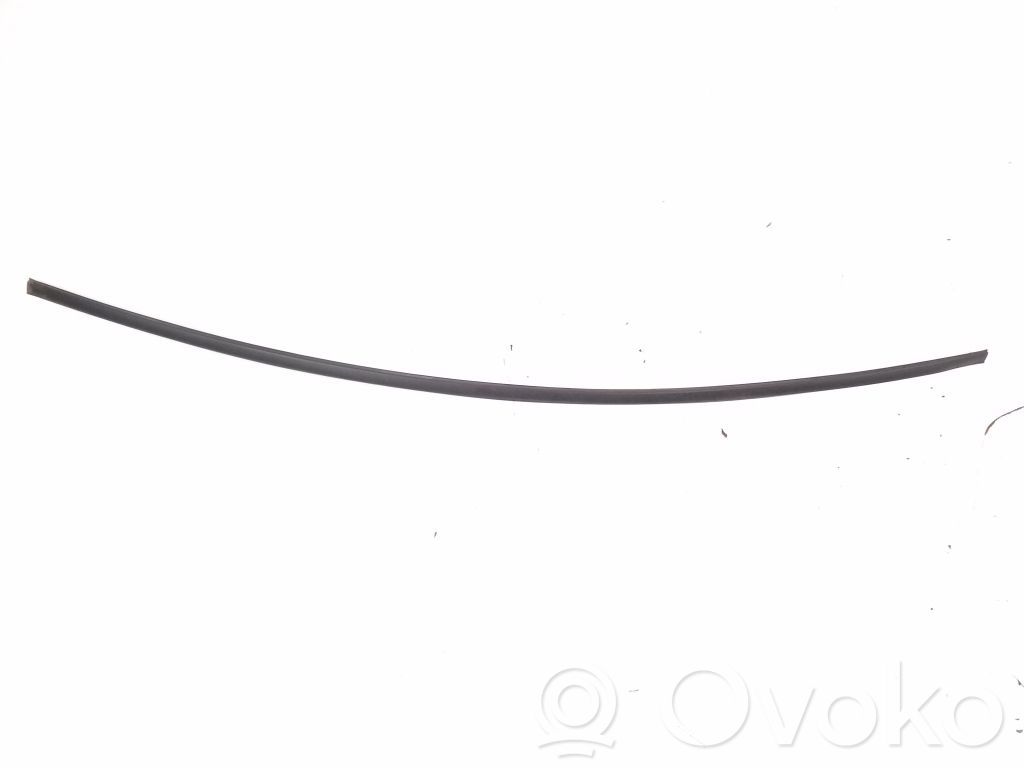 Listwa dachowa   A1716710030