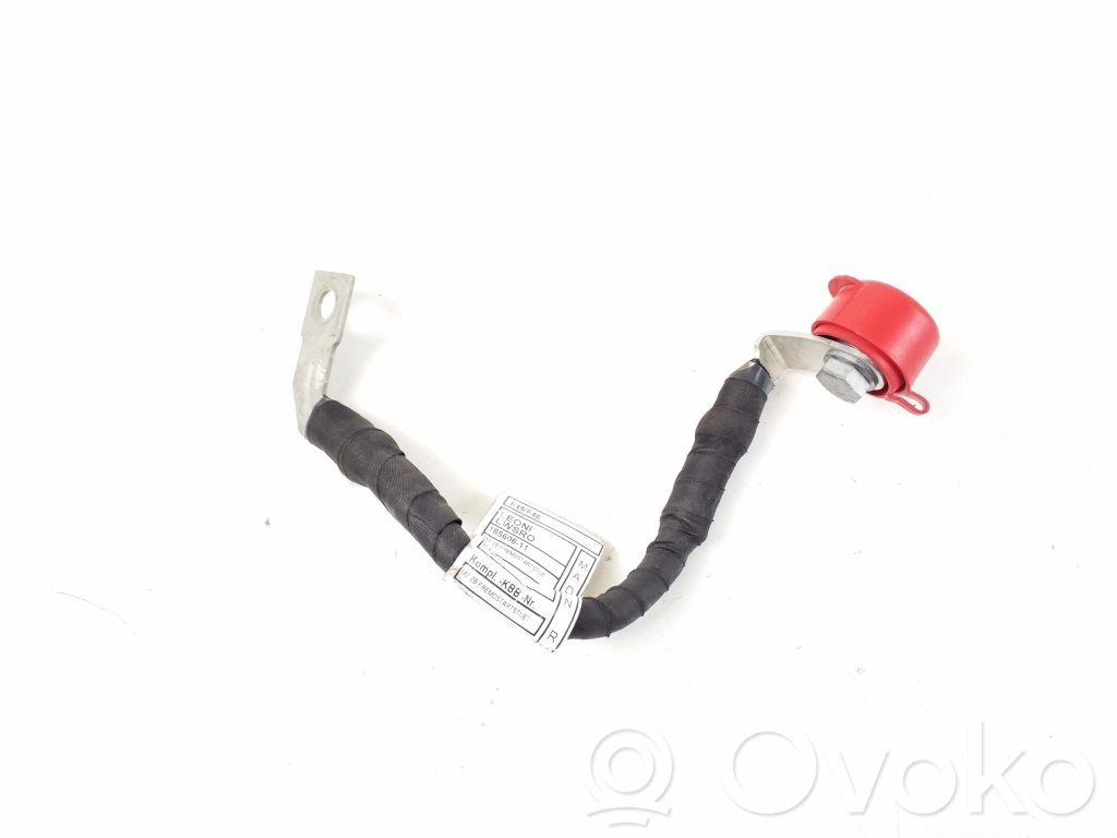 BMW 2 F45 Cable positivo (batería) 