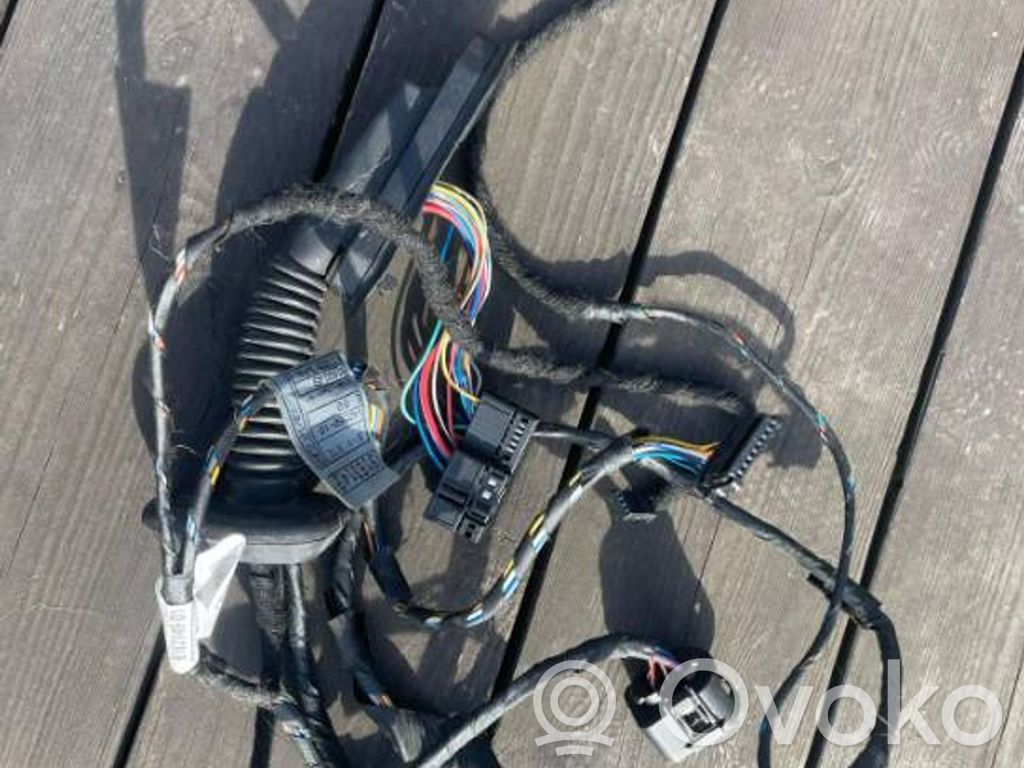 BMW 7 F01 F02 F03 F04 Cableado de puerta trasera 
