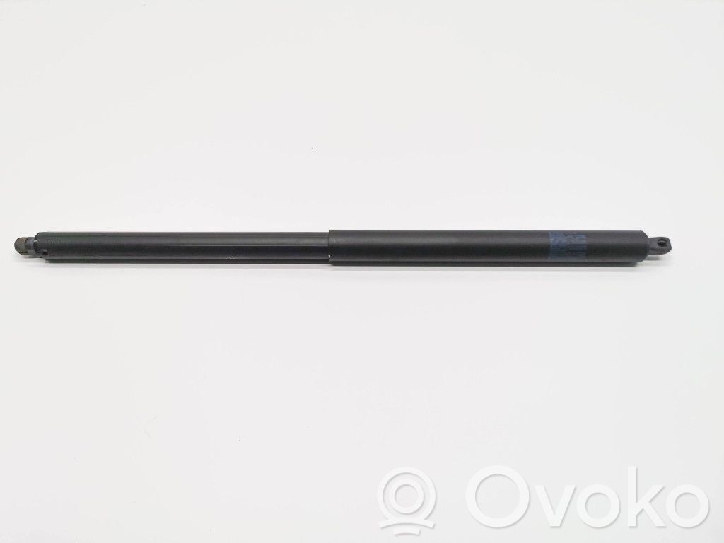 Tesla Model S Tailgate strut 