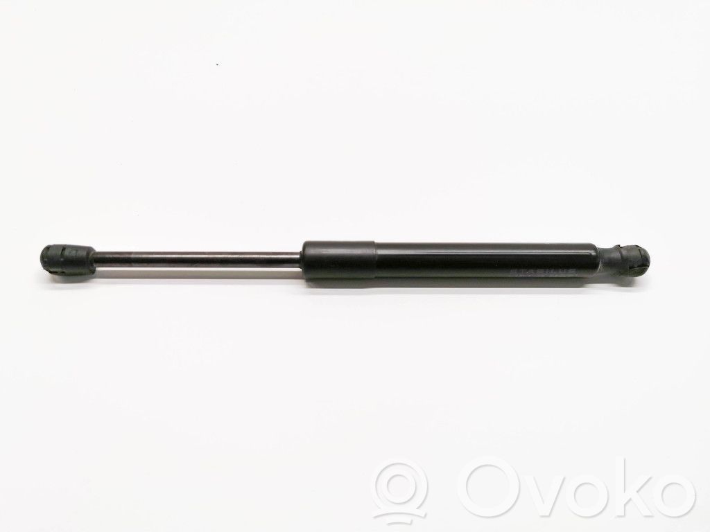 Tesla Model 3 Front bonnet/hood damper/strut 