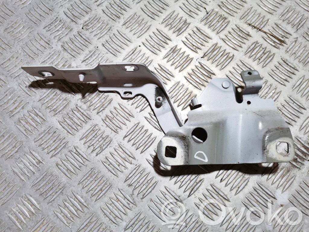 Renault Zoe Engine bonnet/hood hinges 