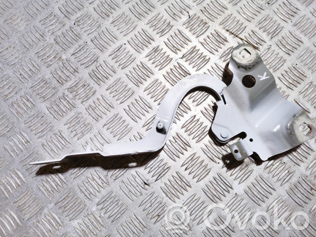 Renault Zoe Engine bonnet/hood hinges 
