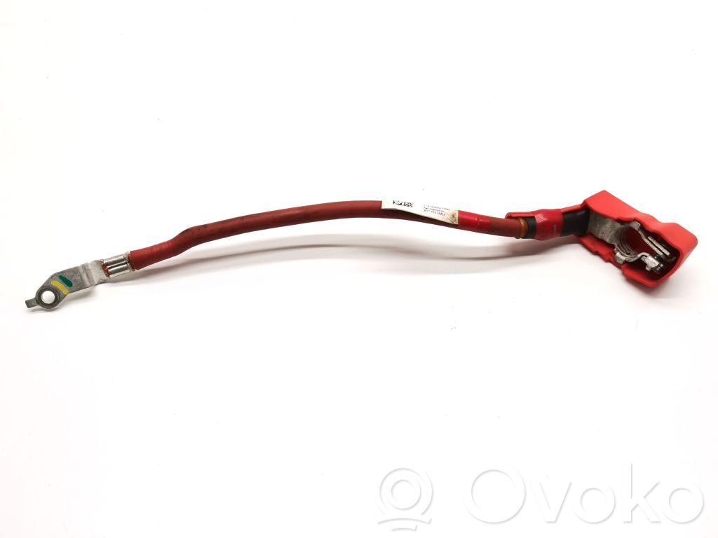 Tesla Model S Positive cable (battery) 
