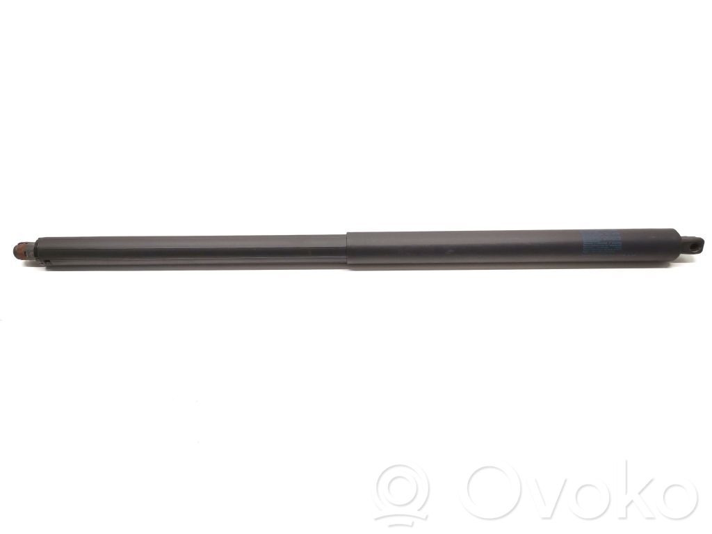 Tesla Model S Tailgate strut 