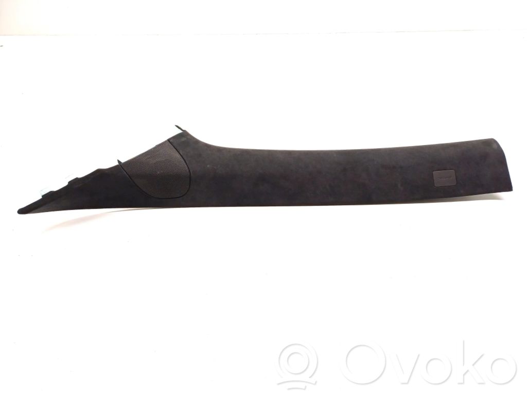 Tesla Model S Other sill/pillar trim element 