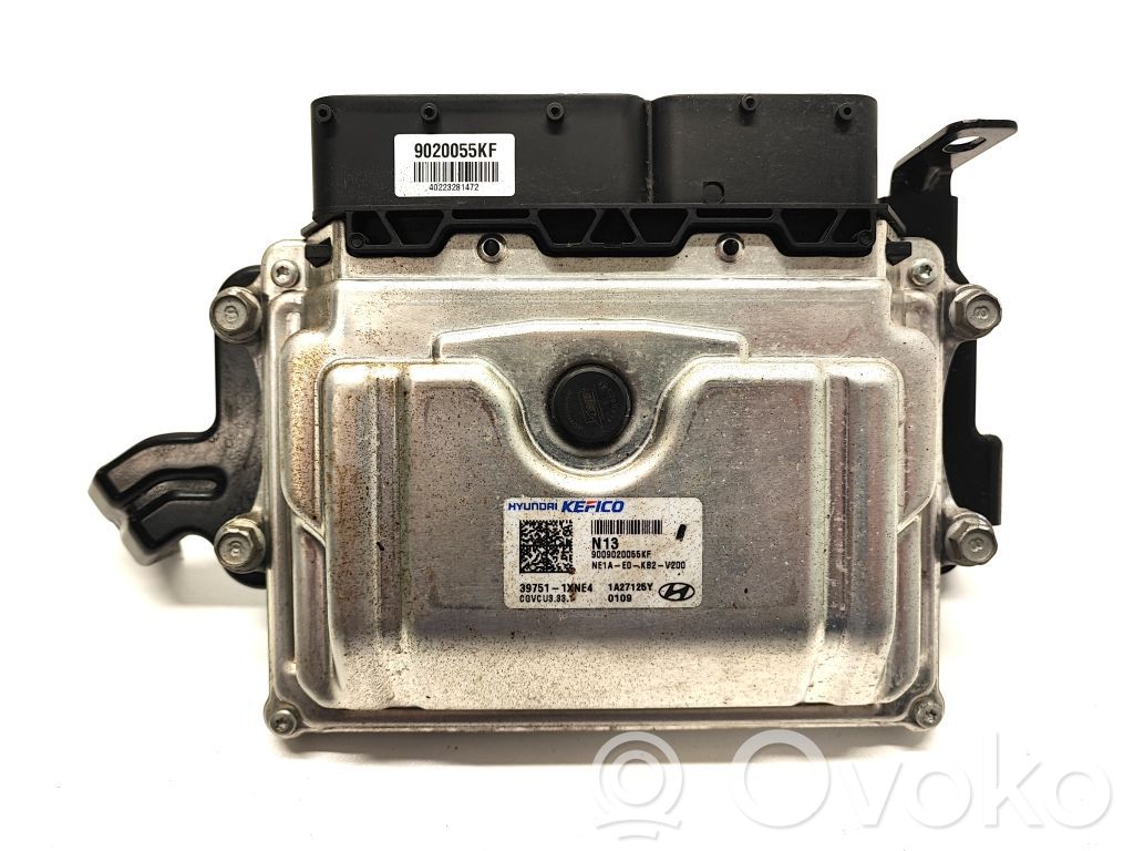 Hyundai Ioniq 5 Engine control unit/module 