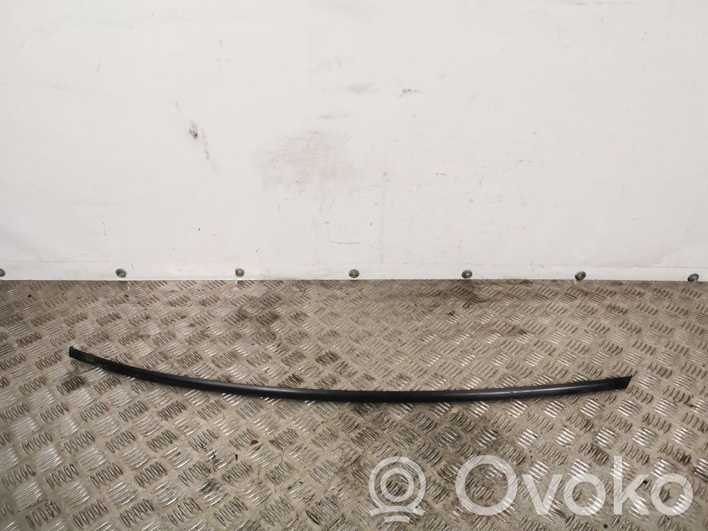 Windshield trim   TPO