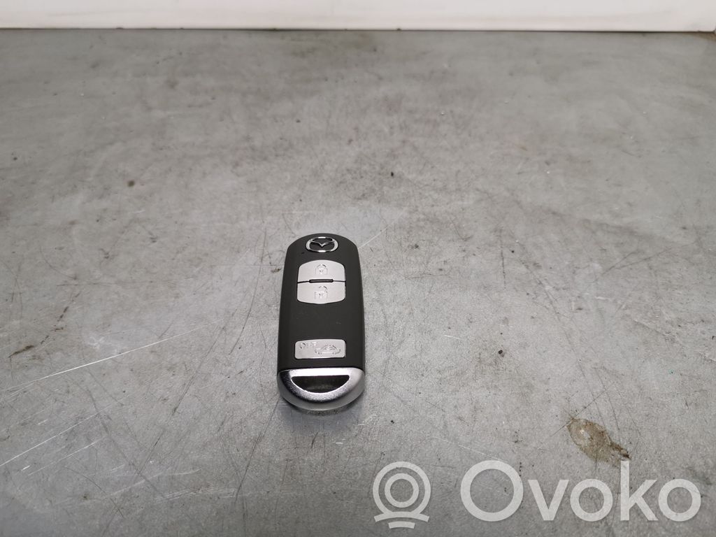 Ignition key/card   SKE13E01