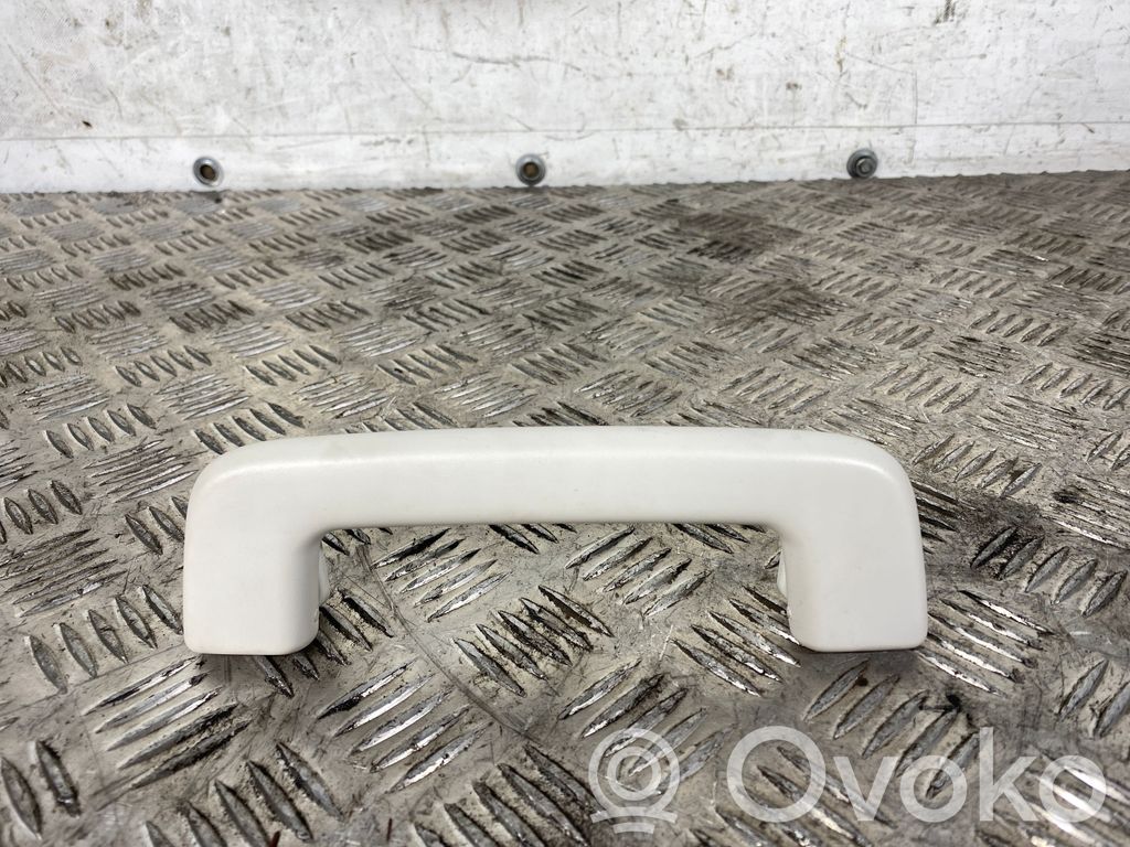 Haltegriff vorne   DS73A045B14