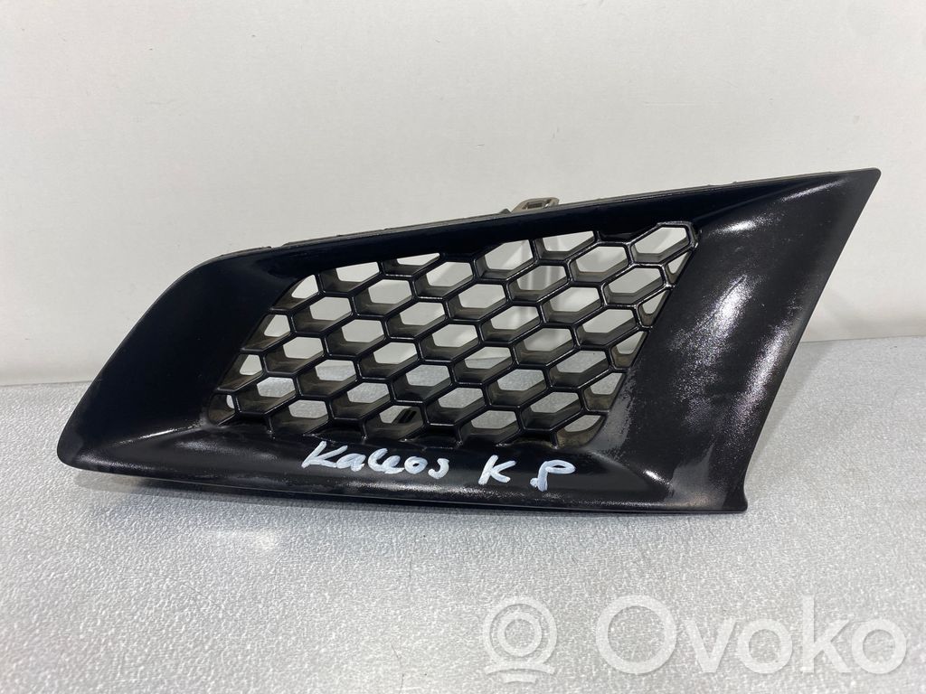 Renault Koleos I Oberes Gitter vorne 