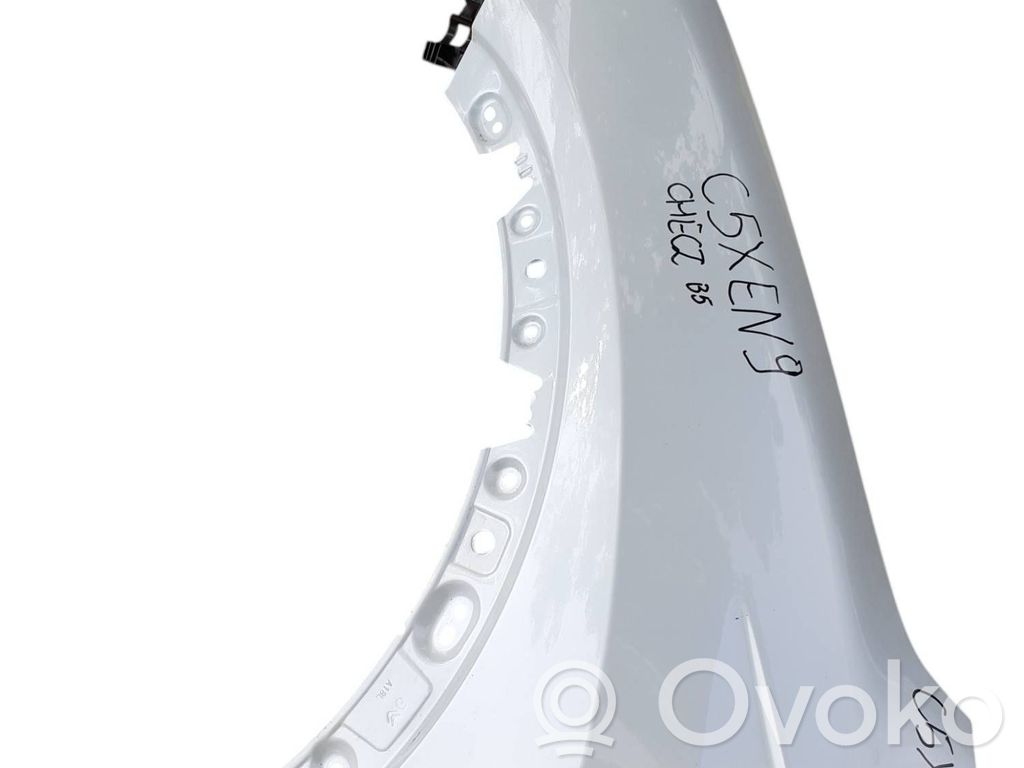 Fender