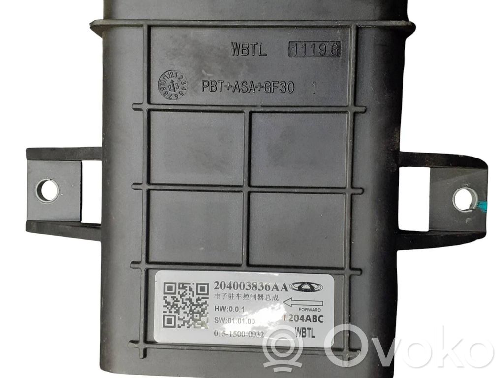 Other control units/modules   204003836AA