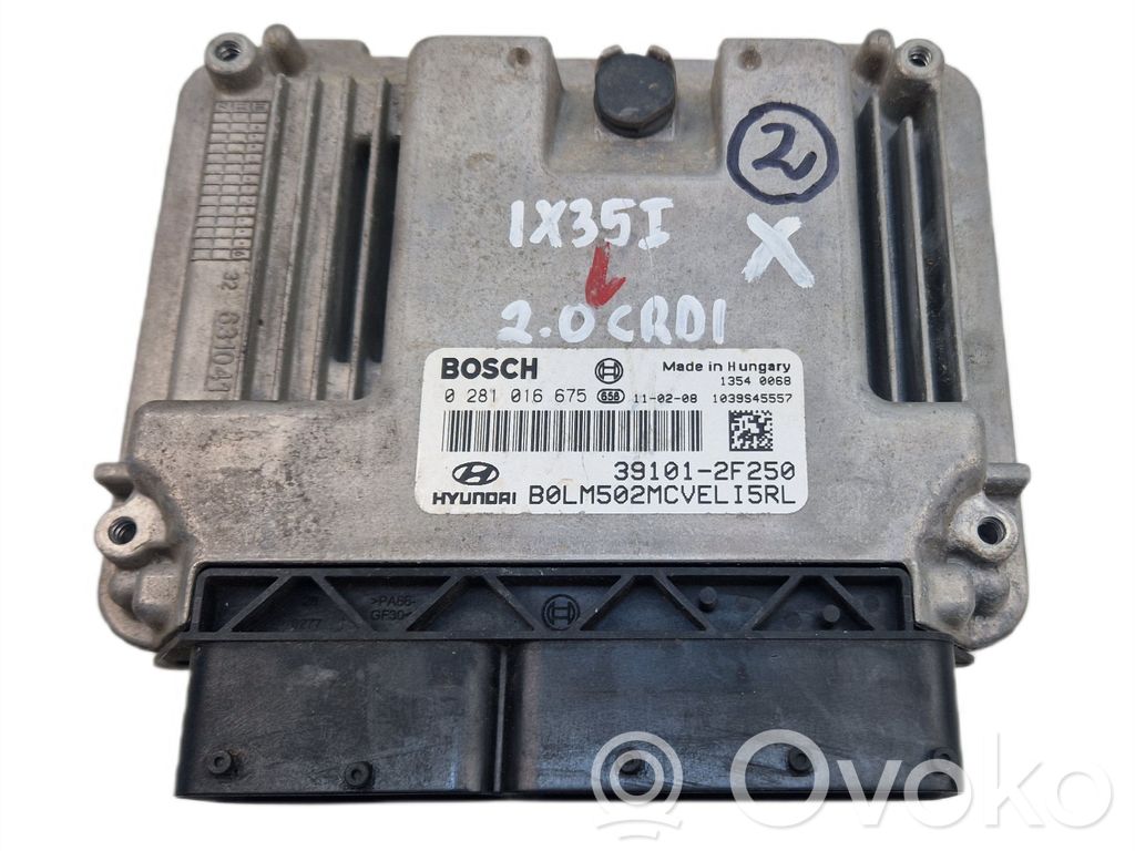 Engine control unit/module ECU   391012F250