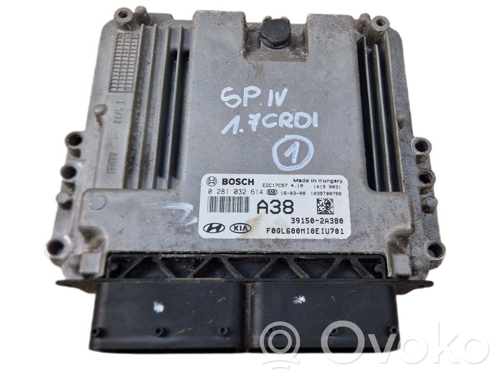 Engine control unit/module   391502A380,0281032614
