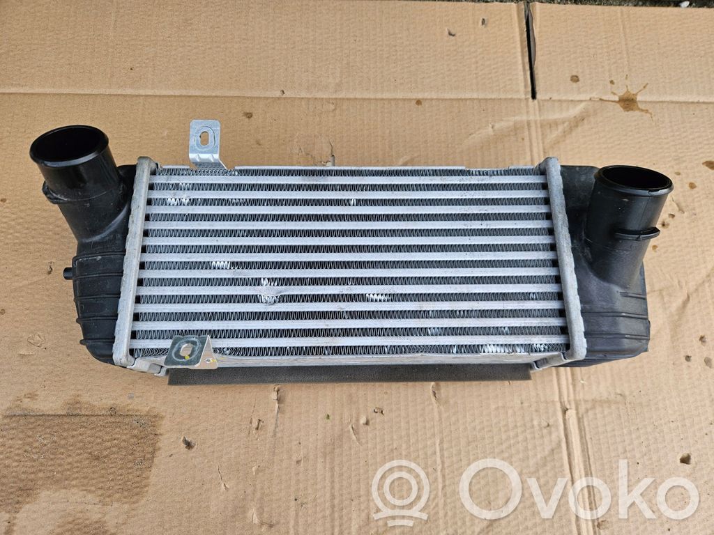Hyundai Santa Fe Įkrovimo rėlė 