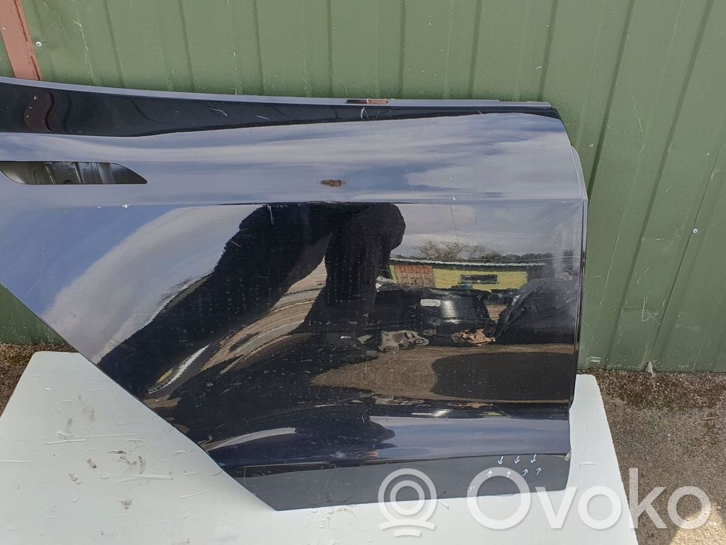 Tesla Model S Galinės durys 