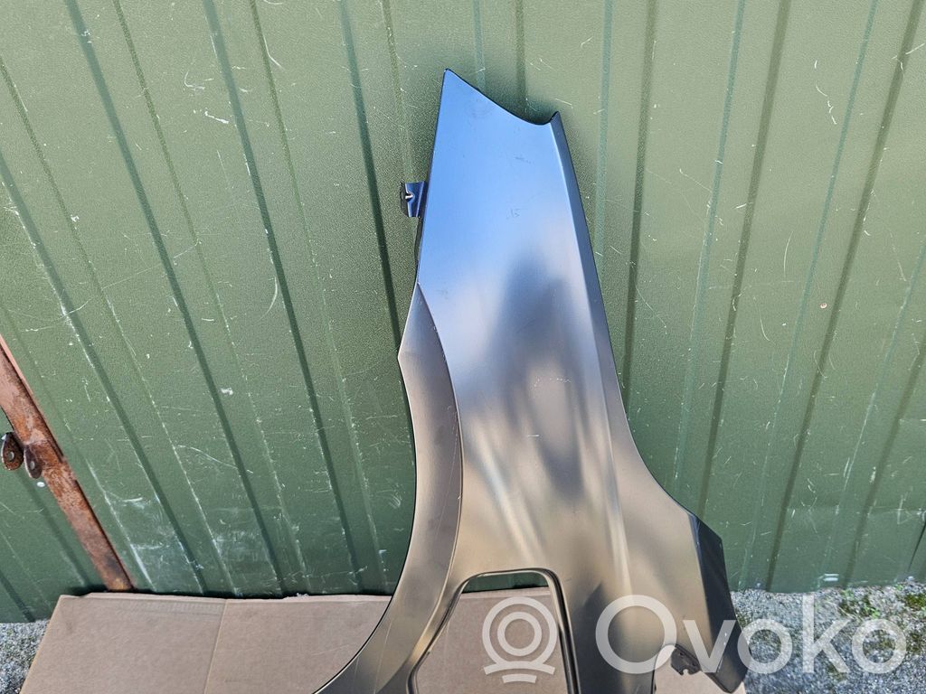 Parafango   41007441616
