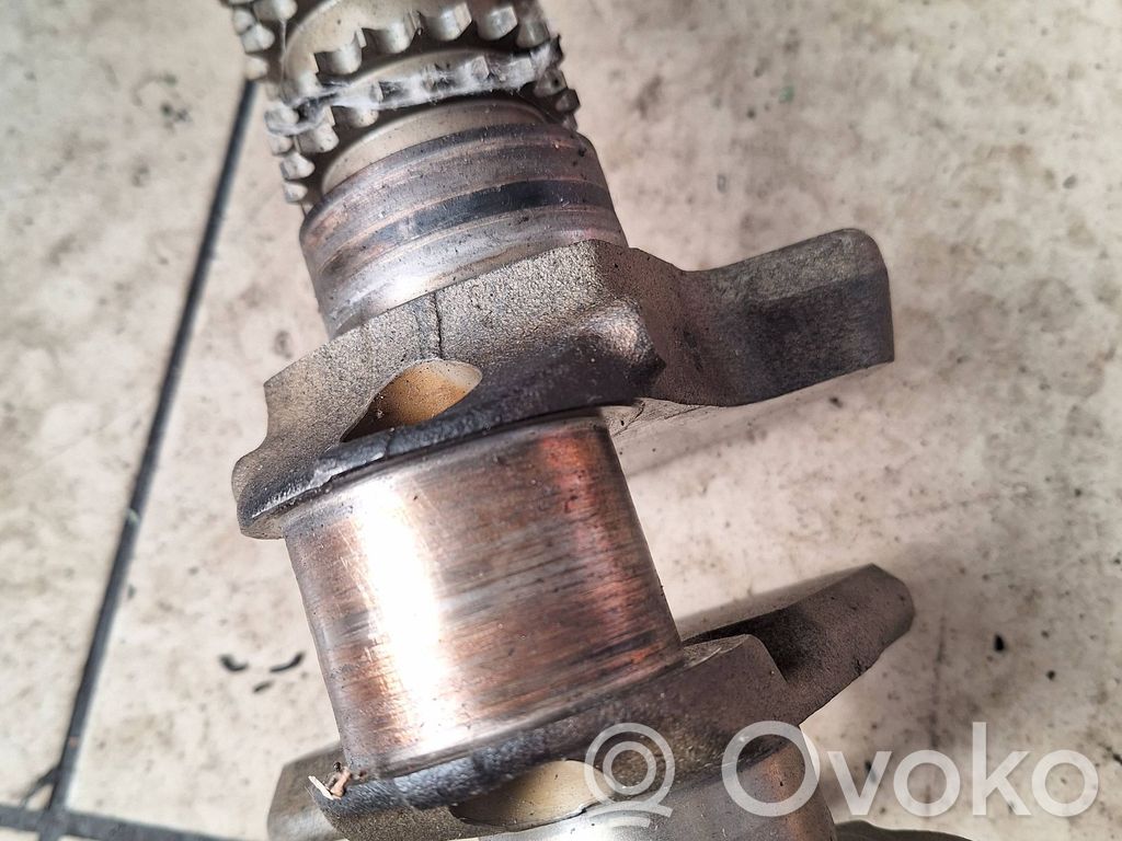 Crankshaft   228H146001,10021800047
