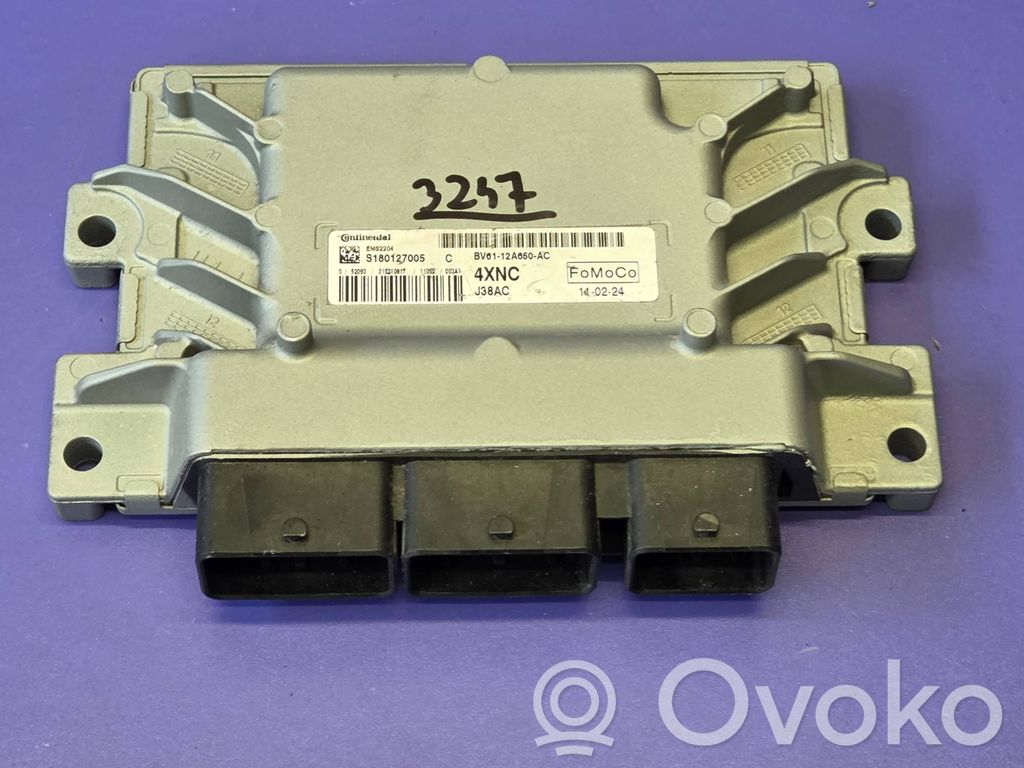 Ford Focus Engine control unit/module 