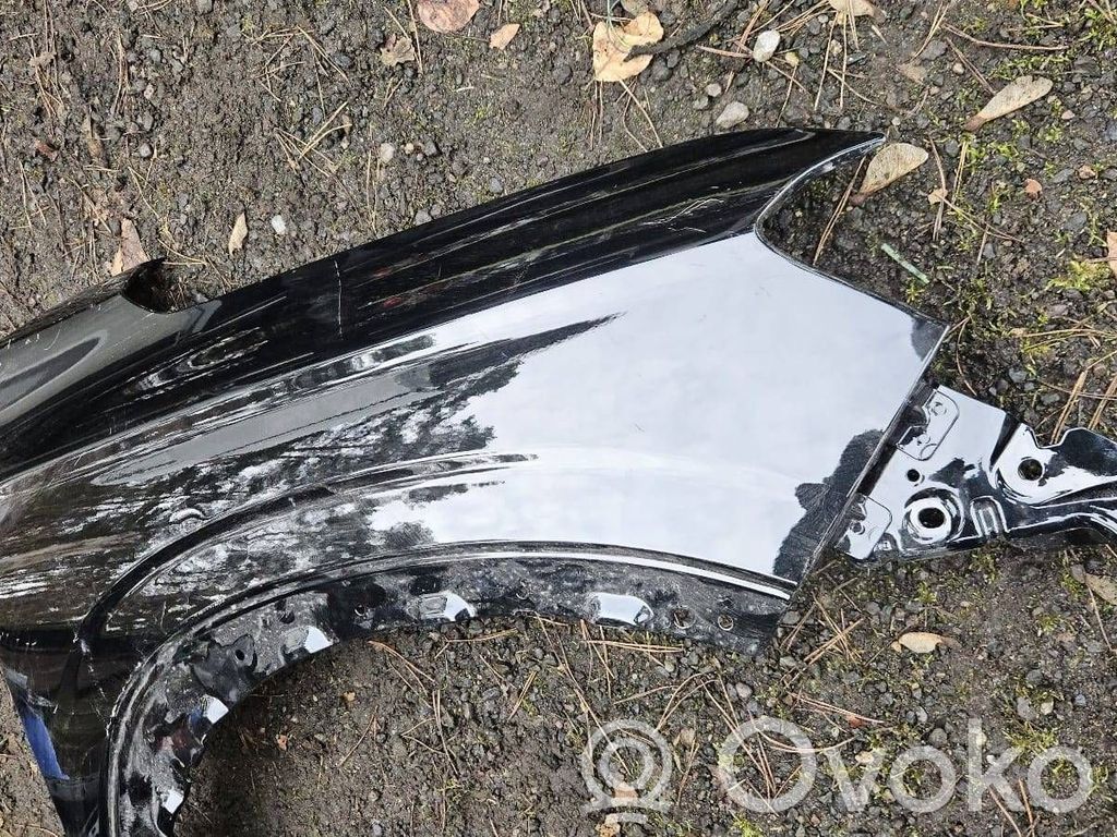 Guardabarro   65007569R