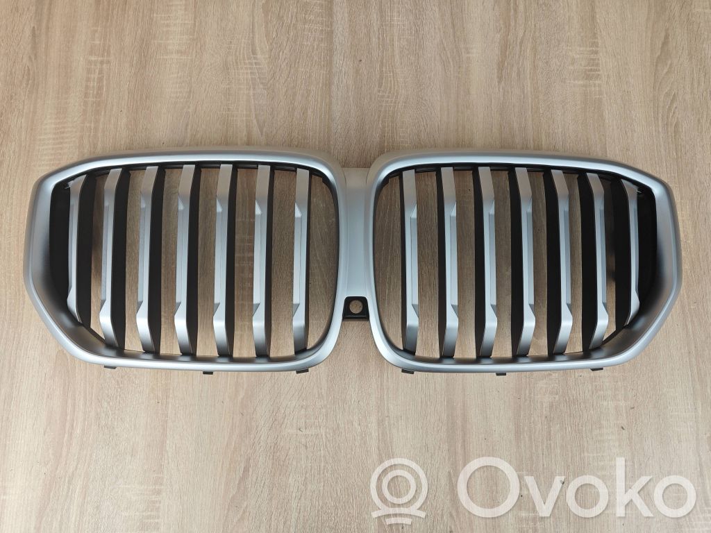 Front grill   5A67CC5