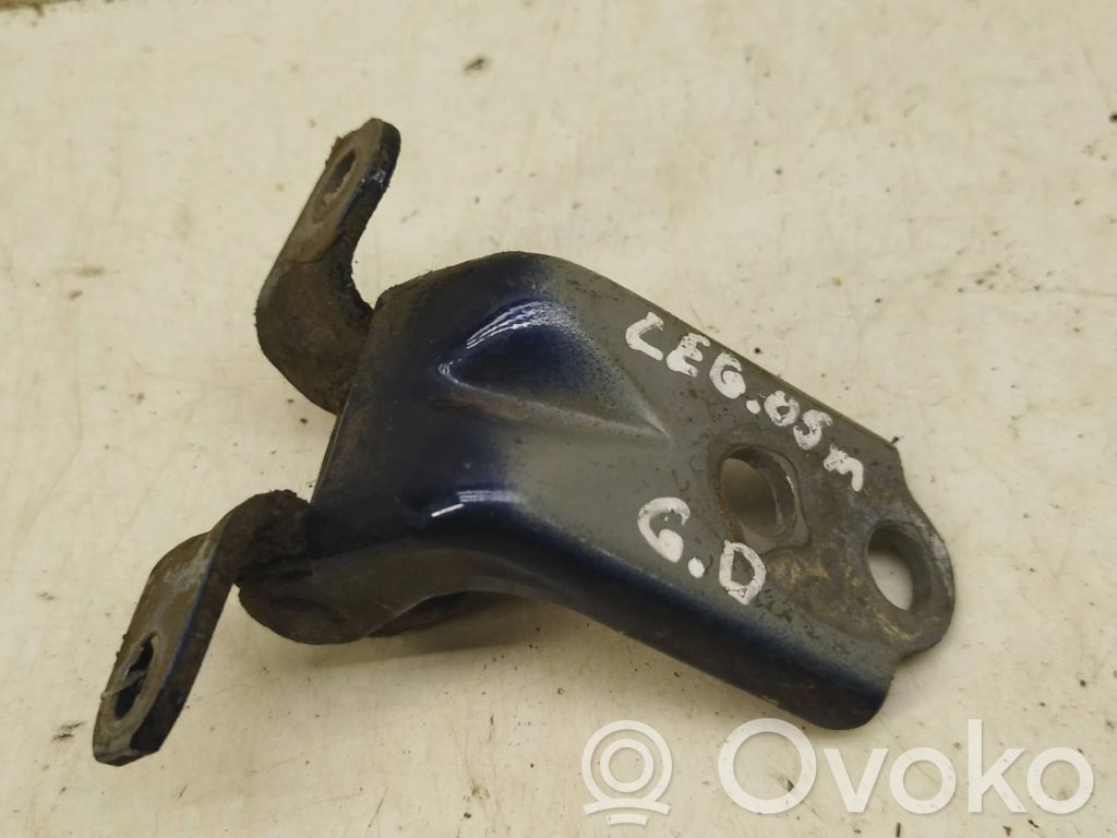 Rear door lower hinge   RLW