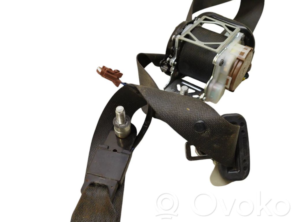 Cinturón delantero   2488007