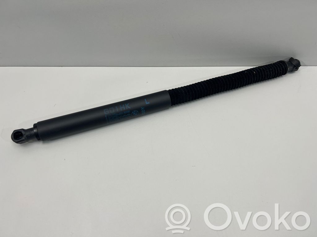 Tailgate strut   7497482