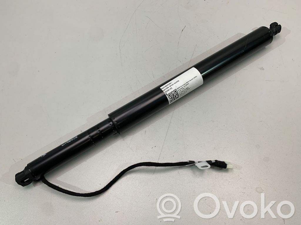 Tailgate/trunk strut/damper   7954154