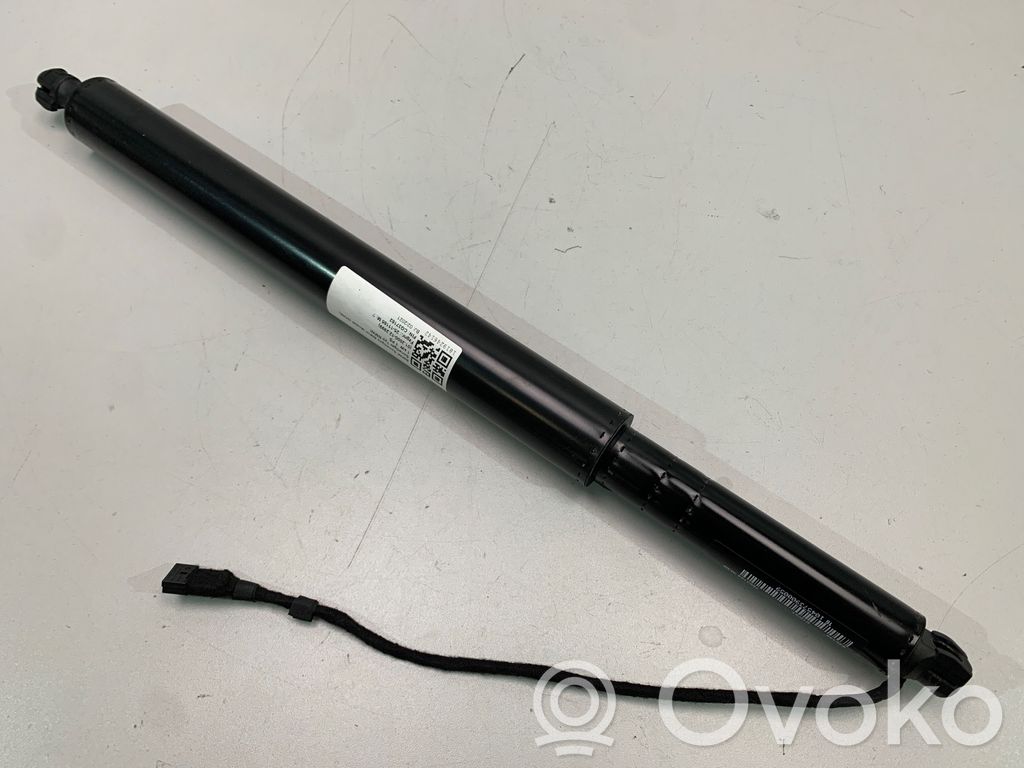 Tailgate/trunk strut/damper   7954153