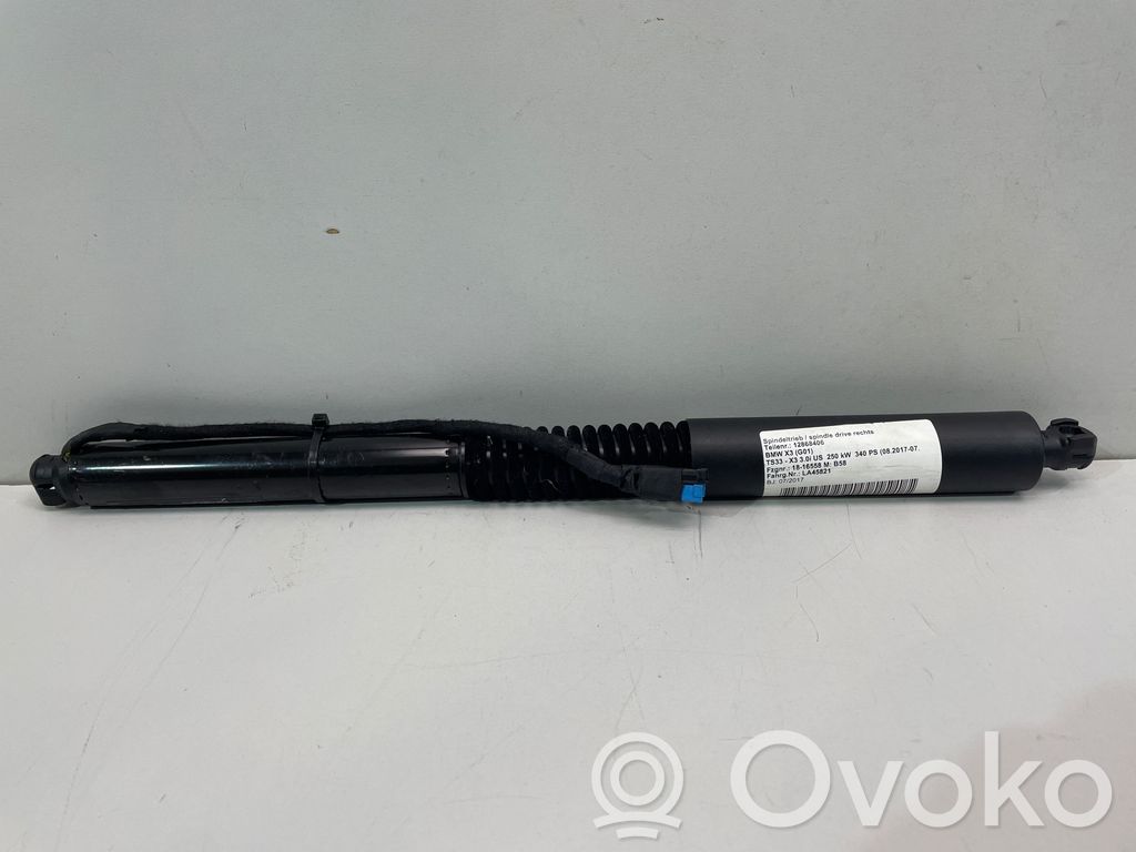 BMW X3 G01 Tailgate strut 