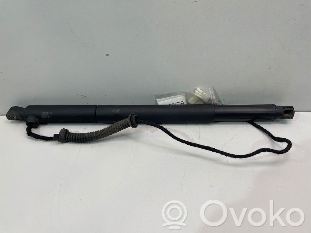 Tailgate/trunk strut/damper   7286118